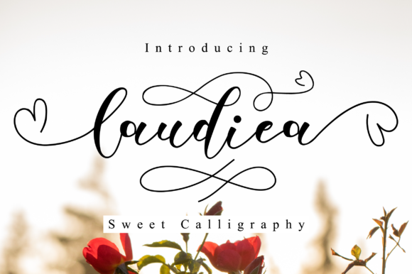 Elevate Your Campaigns with Laudiea Script Font