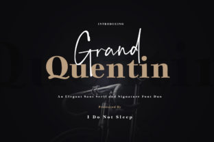 Grand Quentin Duo: A Retro Font for Building Your Brand