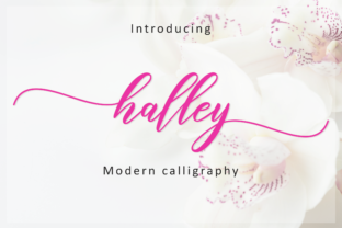 Halley Script: A Charming Handwritten Font for Makers