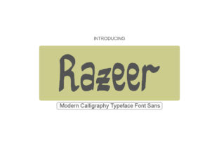 Razeer: A Typographic Tool for Modern Web Design